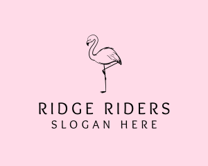 Flamingo Bird Drawing logo design