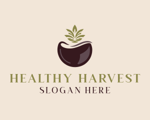 Healthy Organic Coconut logo design