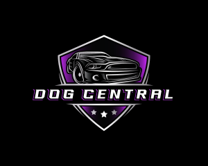 Luxury Car Detailing logo design