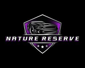 Luxury Car Detailing logo design