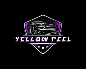 Luxury Car Detailing logo design