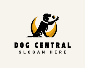 Pet Dog Training logo design