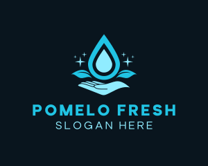 Natural Water Droplet logo design