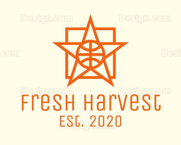 Orange Basketball Star Logo