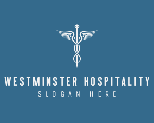 Hospital Medical Doctor logo design