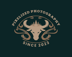 Outdoor Bull Ranch logo design