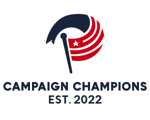 Washington Election Flag  logo design