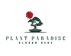  Asian Bonsai Tree logo design