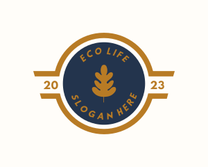 Eco Nature Leaf logo design