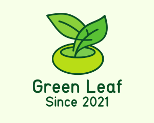 Leaf Pot Plant logo design