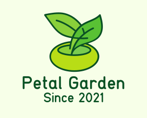 Leaf Pot Plant logo design