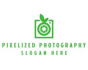 Fruit Photography Camera logo design