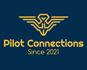 Pilot Wings Aircraft logo