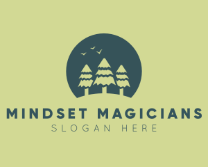 Pine Tree Sunset  logo design