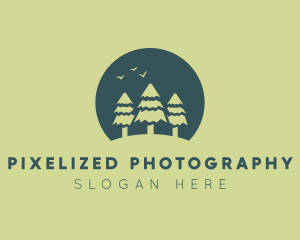 Pine Tree Sunset  logo design