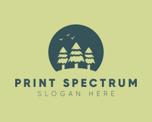 Pine Tree Sunset  logo design