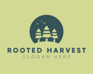 Pine Tree Sunset  logo design