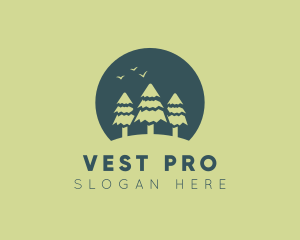 Pine Tree Sunset  logo design