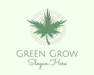 Green Marijuana Dispensary logo design