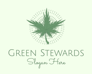 Green Marijuana Dispensary logo design