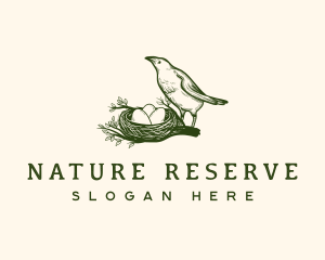 Nature Bird Nest logo design