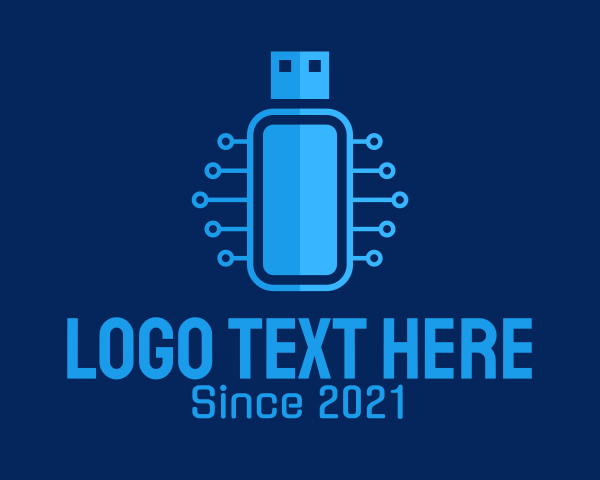 Flashdrive logo example 3