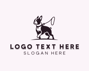 Boston Terrier Dog Leash logo