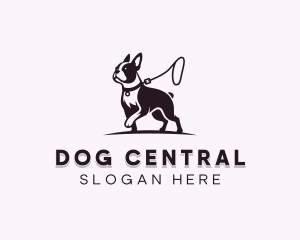 Boston Terrier Dog Leash logo design