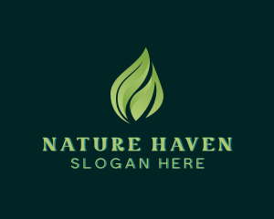 Nature Leaf Botanical logo design