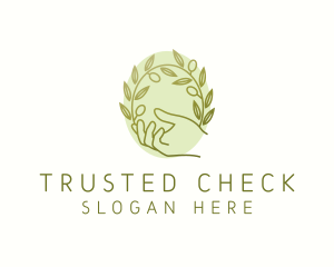 Organic Olive Plant logo design