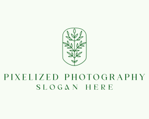 Tree Plant Gardening  logo design