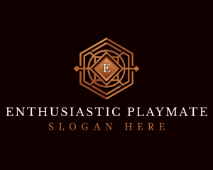 Luxury Decorative Hexagon logo design