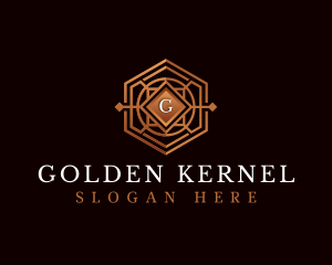 Luxury Decorative Hexagon logo design