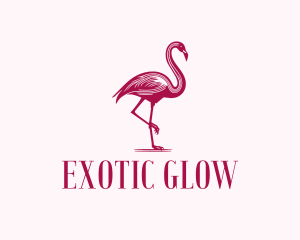 Flamingo Aviary Bird logo
