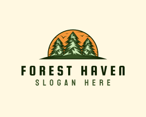 Pine Forest Adventure logo design