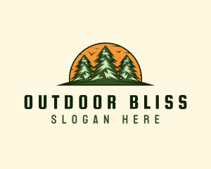 Pine Forest Adventure logo design