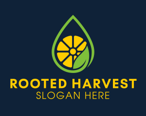 Citrus Oil Droplet  logo design