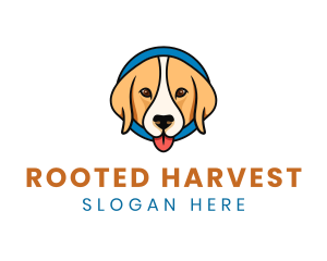 Cute Animal Pet Care logo design