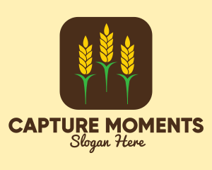 Corn Grain Mobile App Logo