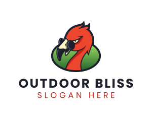 Orange Flamingo Bird logo design