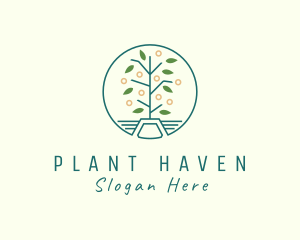 Greenhouse Farm Plant logo design