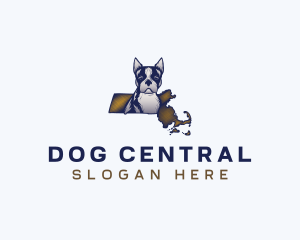 Massachusetts Boston Terrier logo design