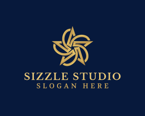 Premium Star Studio logo design