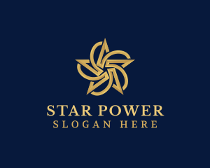 Premium Star Studio logo design