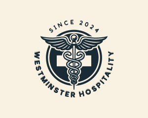 Medical Caduceus Hospital logo design