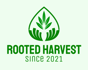 Green Plant Droplet  logo design