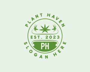 Marijuana Plant Dispensary  logo design