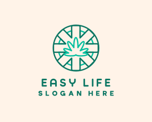 Medicinal Cannabis Leaf logo design