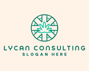 Medicinal Cannabis Leaf logo design