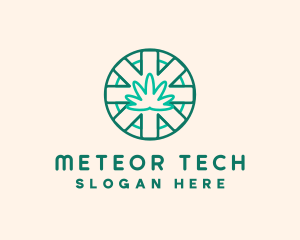 Medicinal Cannabis Leaf logo design